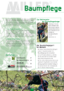Baumpflege Flyer